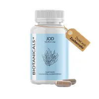 download - 2023-10-19T110210 Background Removed.442