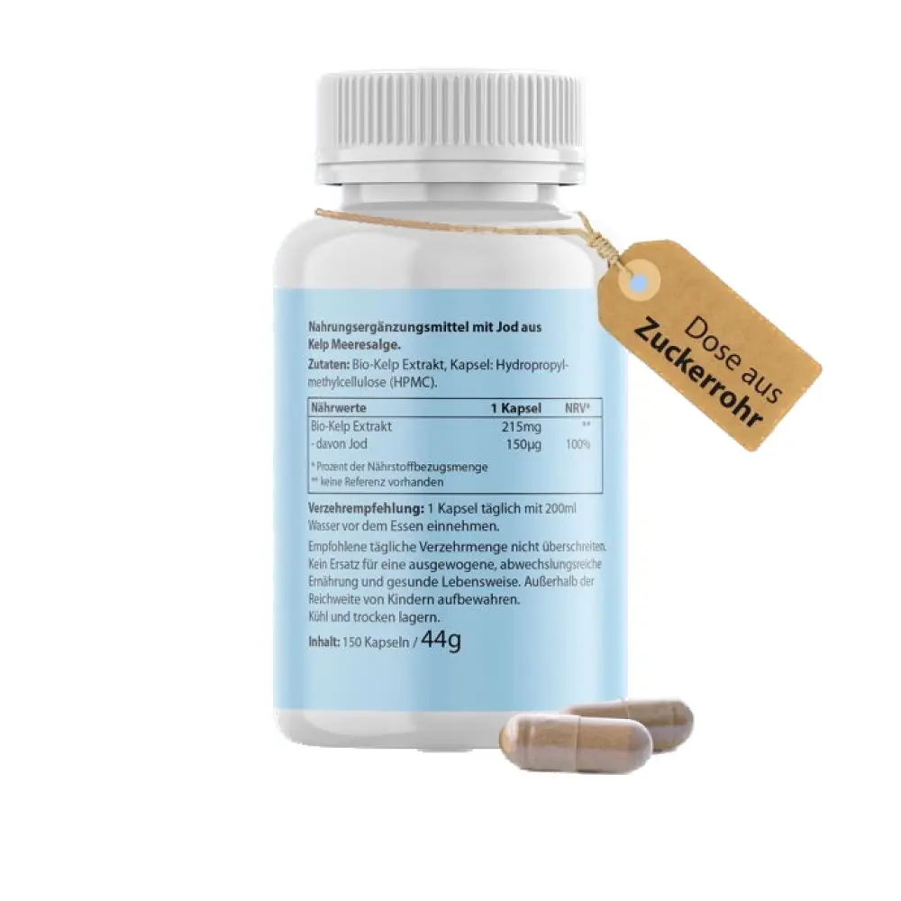 download - 2023-10-19T110216 Background Removed.016