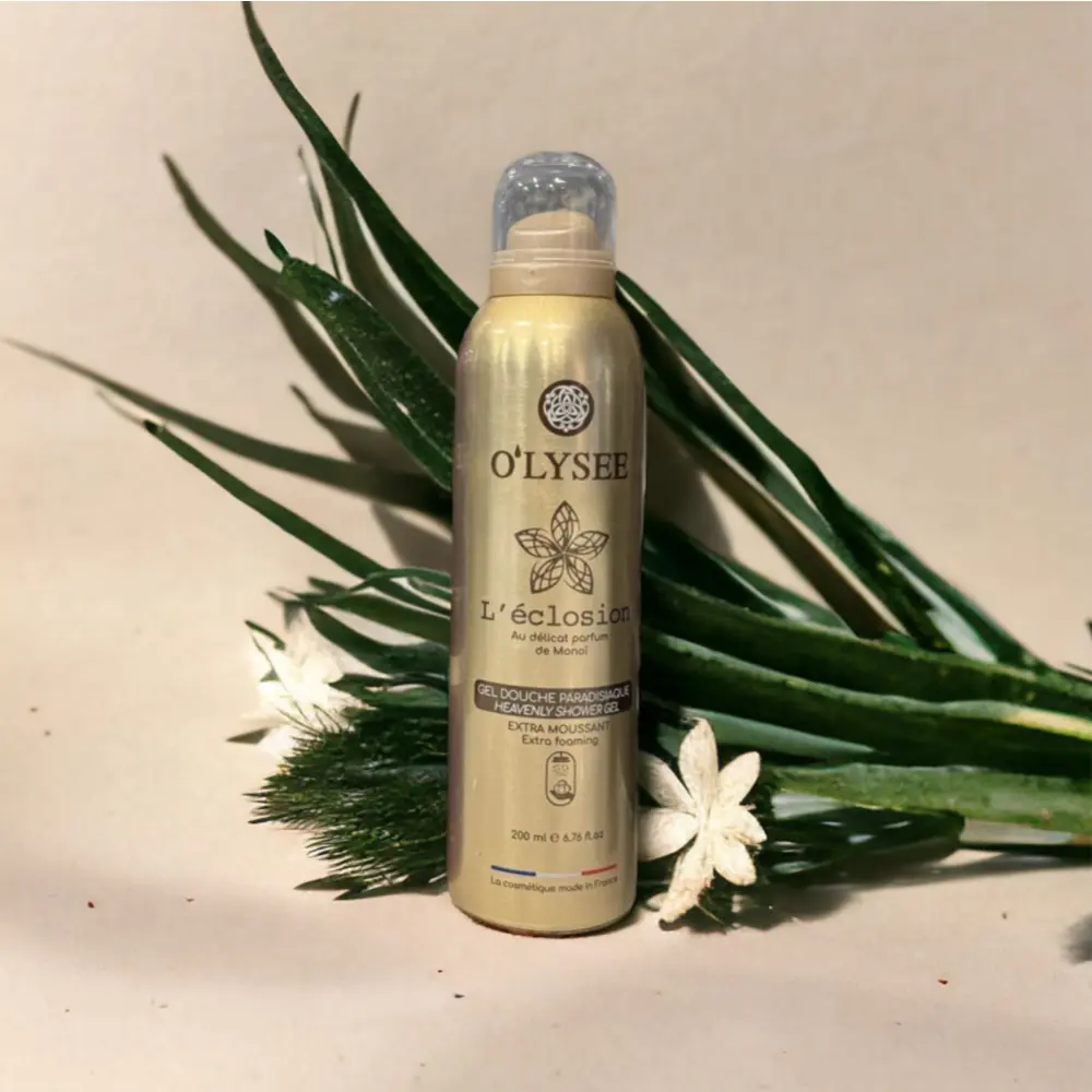 WhatsAppImage2024-04-16a13.21.06_c5c468ee