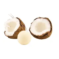 Badekugel-Kokos-fr.-450x450