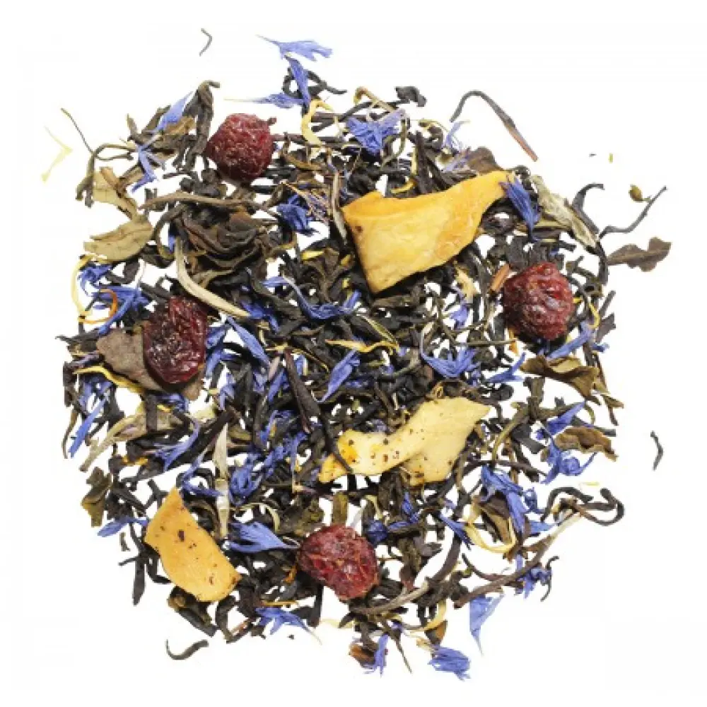 escale-sous-les-tropiques