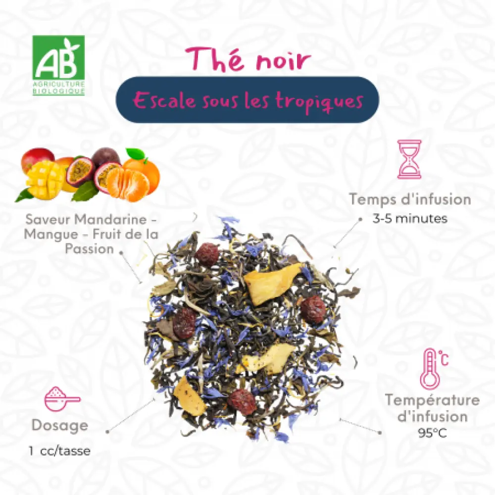 escale-sous-les-tropiques