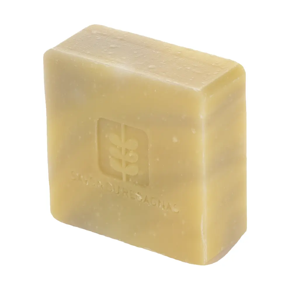 DSC_1264-3760209870060