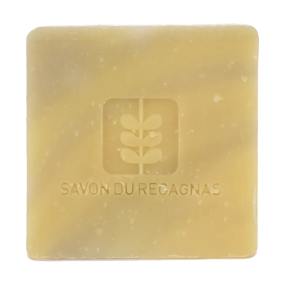 DSC_1263-3760209870060