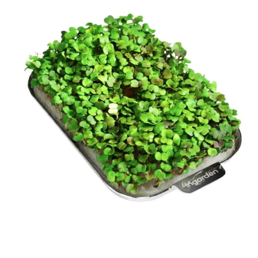 Screenshot_2023-04-25_at_15.08.13-removebg-preview