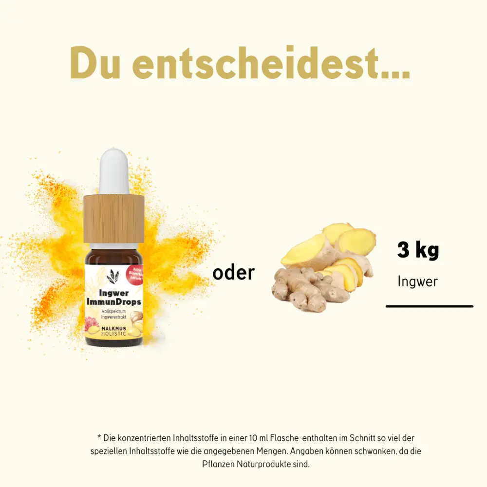 ingwer-immundrops-die-hochkonzentrierte-kraft-der-ingwerwurzel-252205