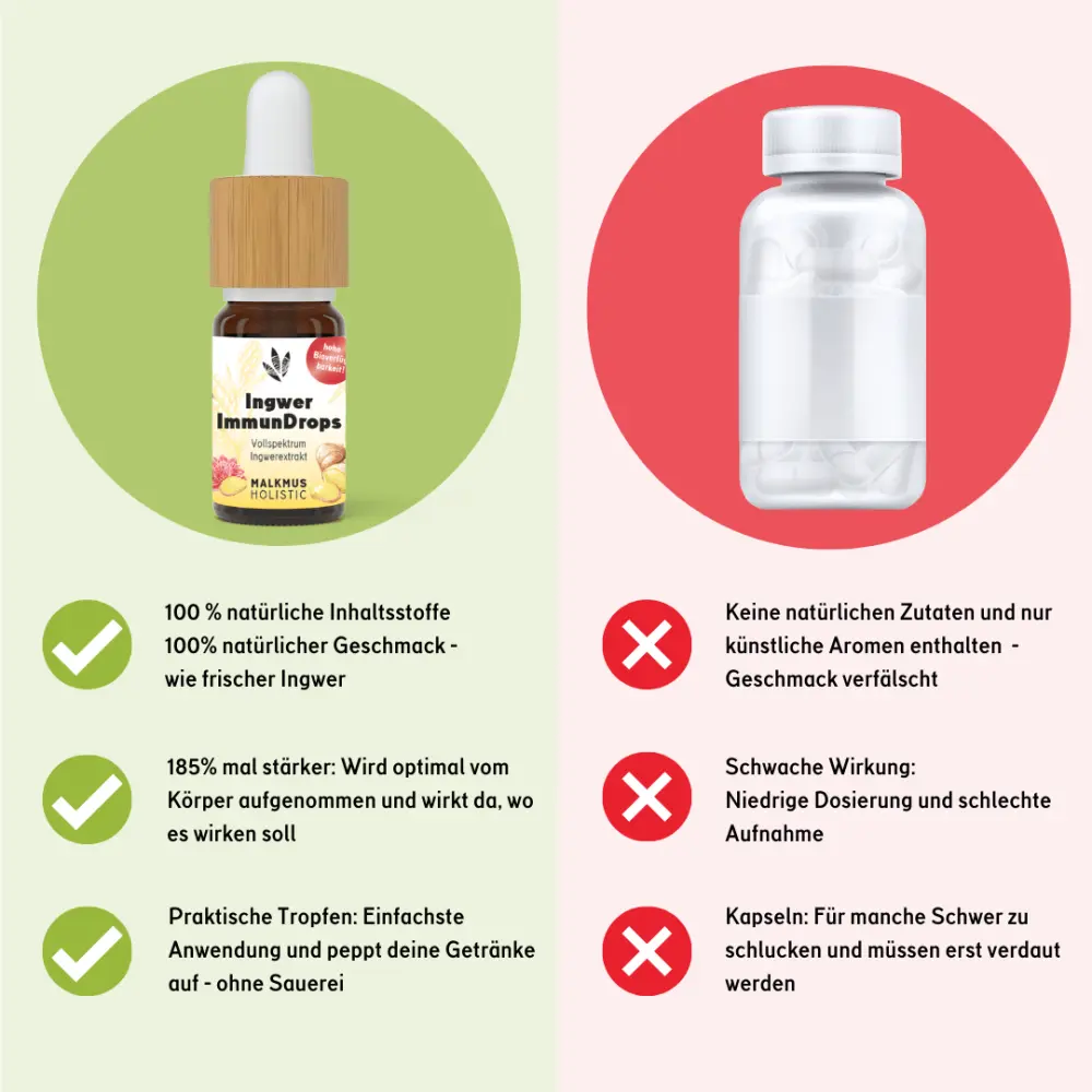 ingwer-immundrops-die-hochkonzentrierte-kraft-der-ingwerwurzel-285961