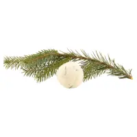 Badekugel-Waldgefluester-fr.-450x450