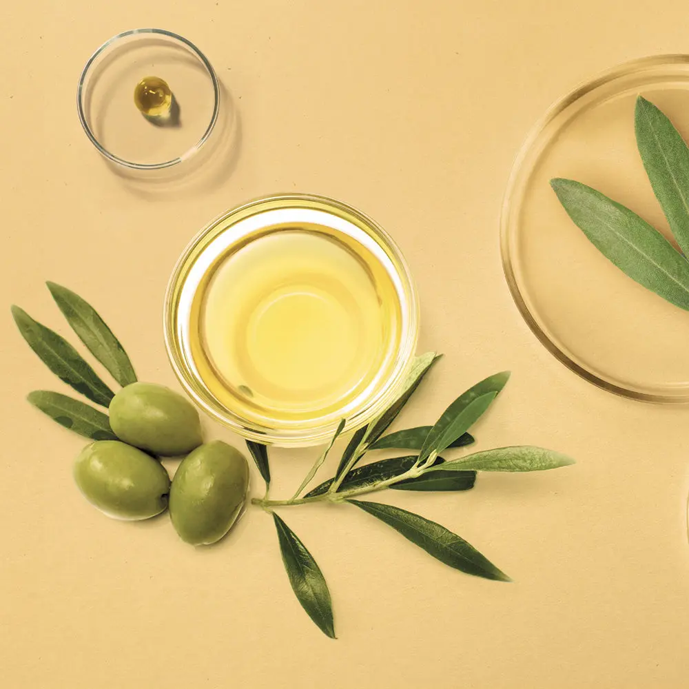 mise-en-scene-olives