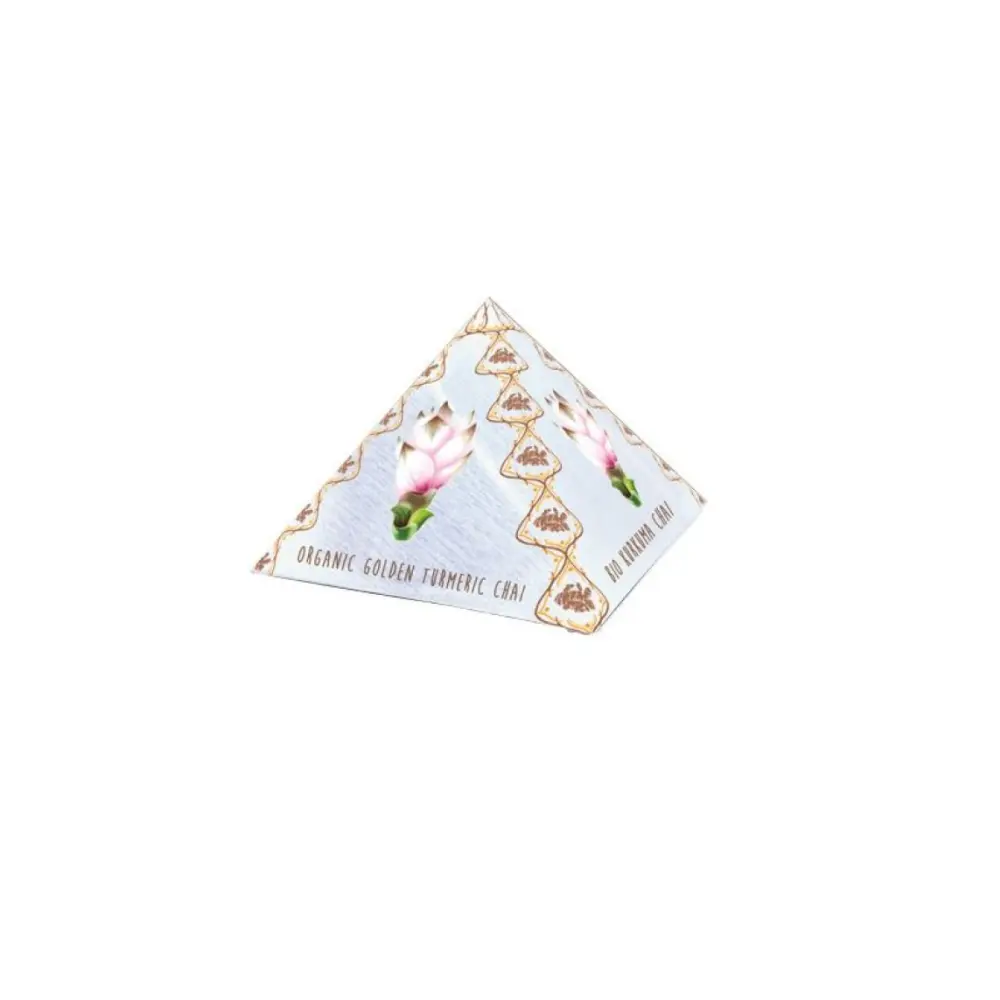 infusion-curcuma-chai-bio