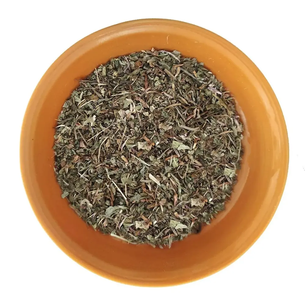 Pissenlit-1024x1024-1