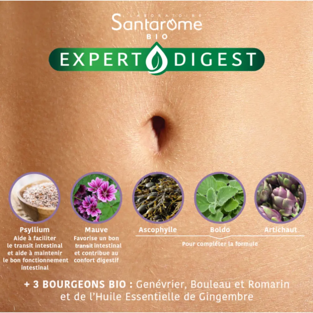 TRANSIT_FLASH_BIO_1400XP1400px4_800x