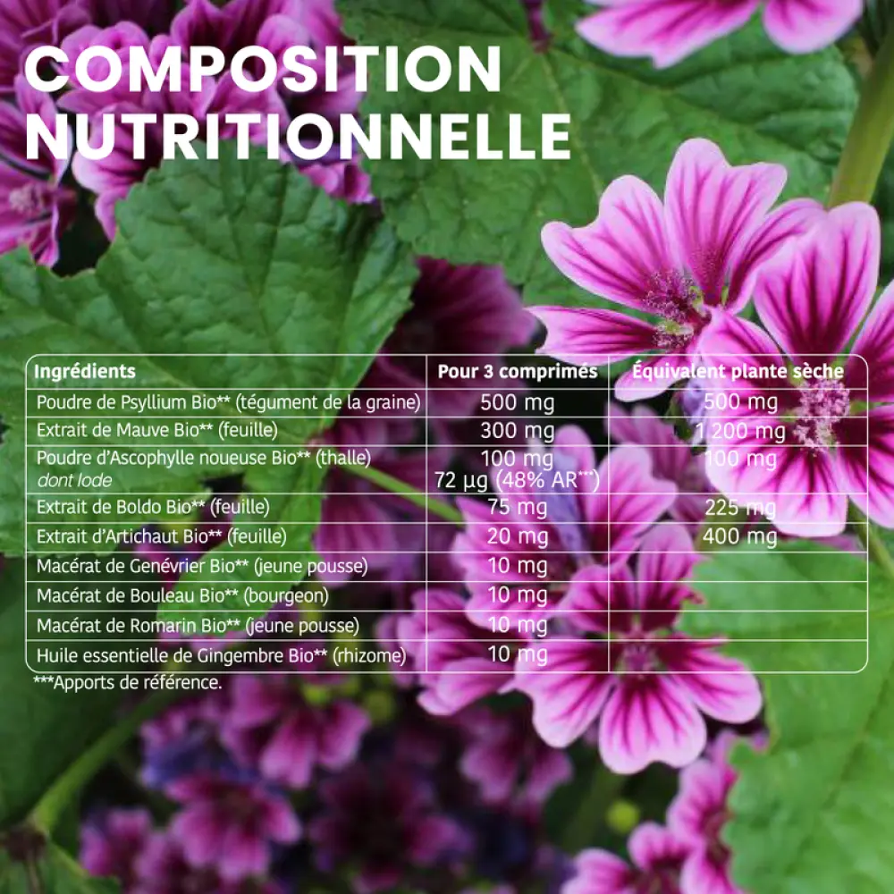 TRANSIT_FLASH_BIO_1400XP1400px6_800x