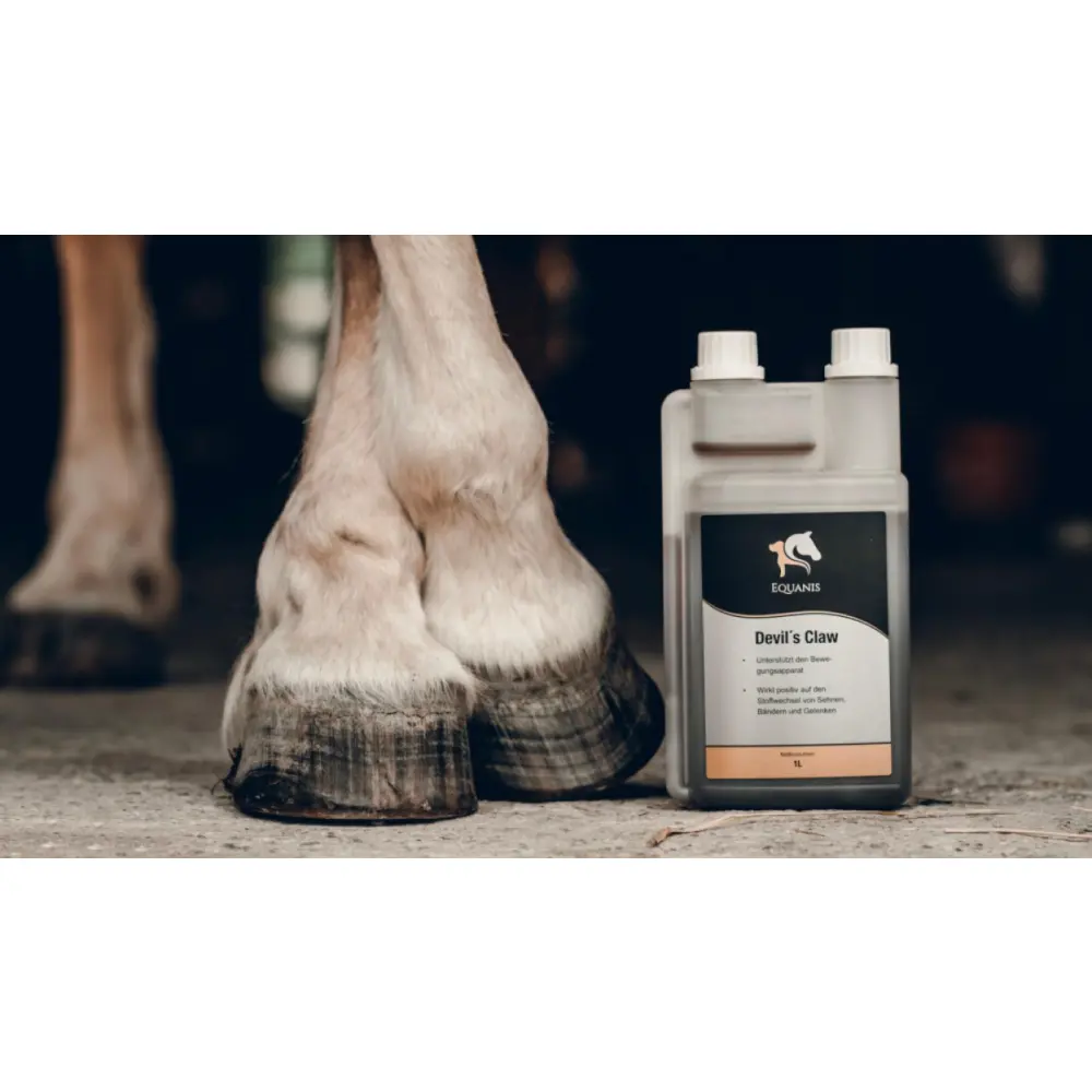 Design-ohne-Titel-3-1