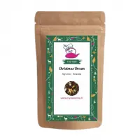 the-vert-christmas-dream