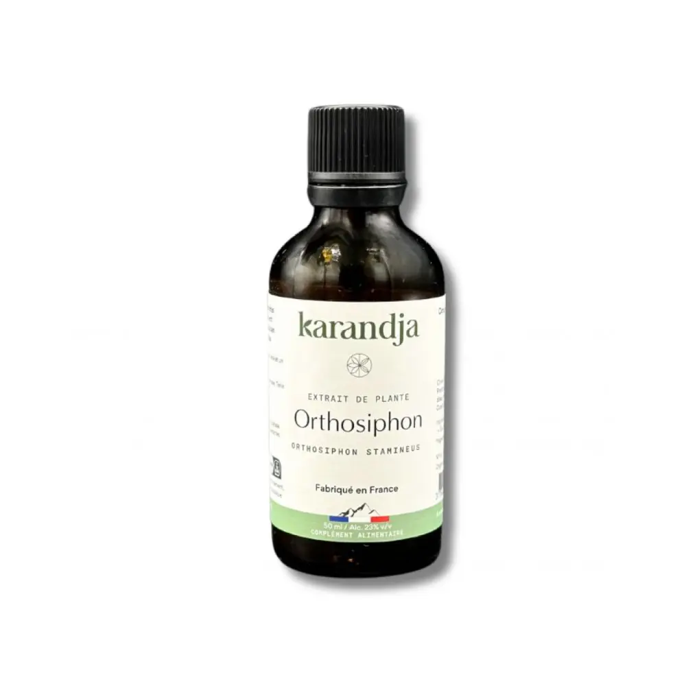 karandja-extrait-de-plante-orthosiphon-50ml-bio-orthosiphon-stamineus