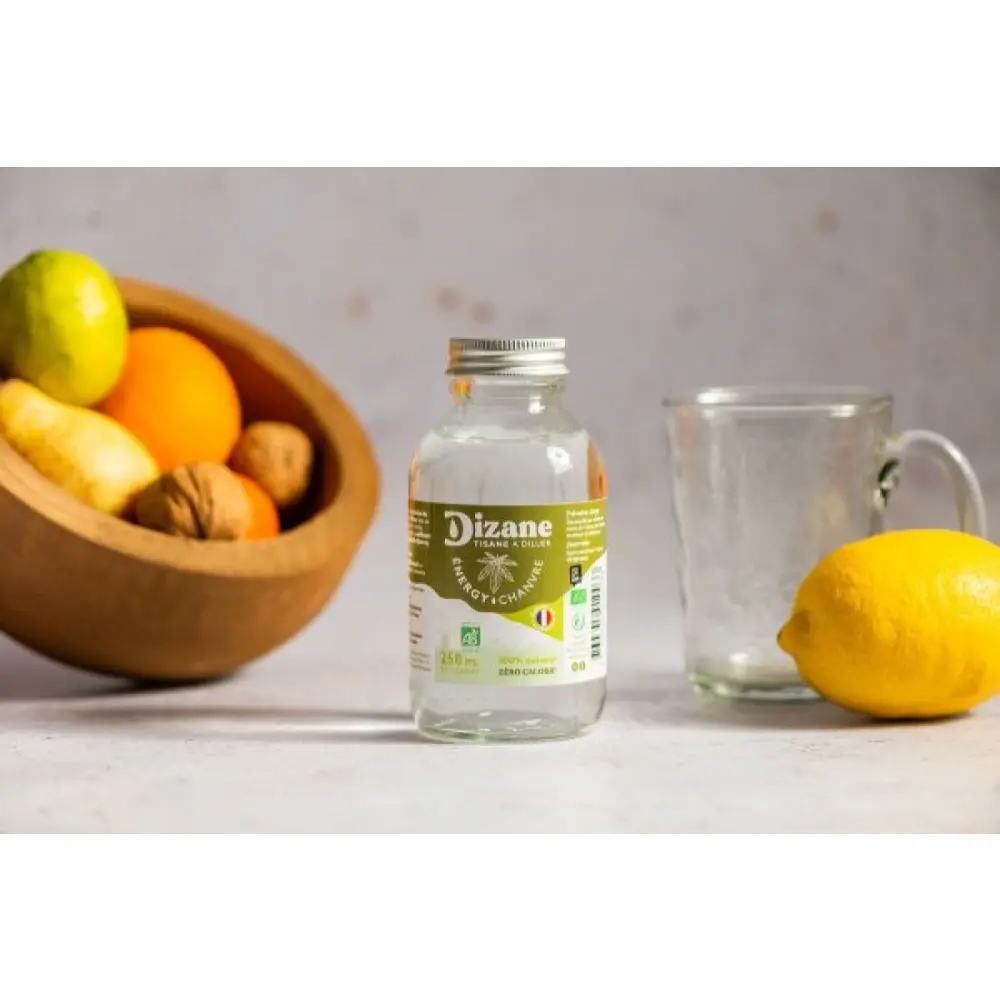 Dizane-Energy-e1685635148666