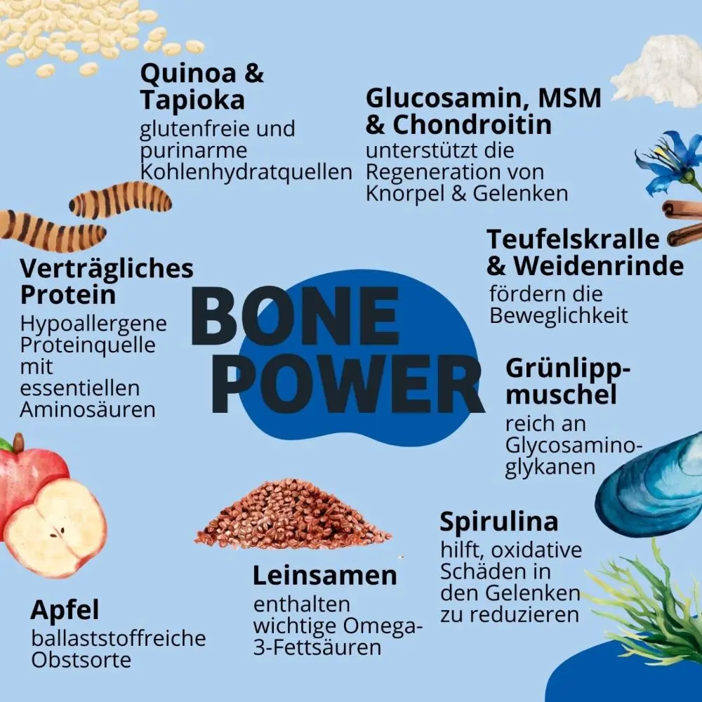 ZutatenTrockenfutterBonePower_1000x