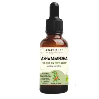 Copie-de-ASHWAGANDHA-SSAR