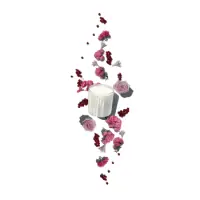 AmorosaSubstantial_d7e8dffb-08cd-48d2-abc7-0973e1df7269