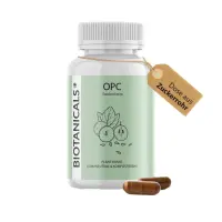 download - 2023-10-18T174111 Background Removed.135