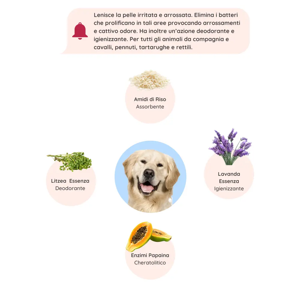 Cliccaquieparlaconunesperto_35