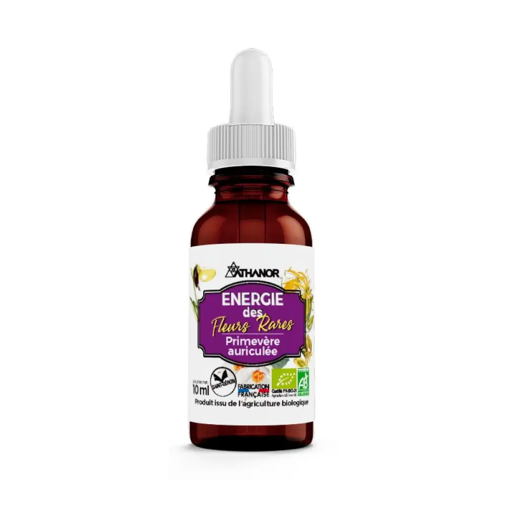 energie-des-fleurs-rares-primevere-auriculee_01