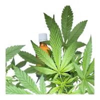 huile-de-chanvre-vierge-removebg-preview