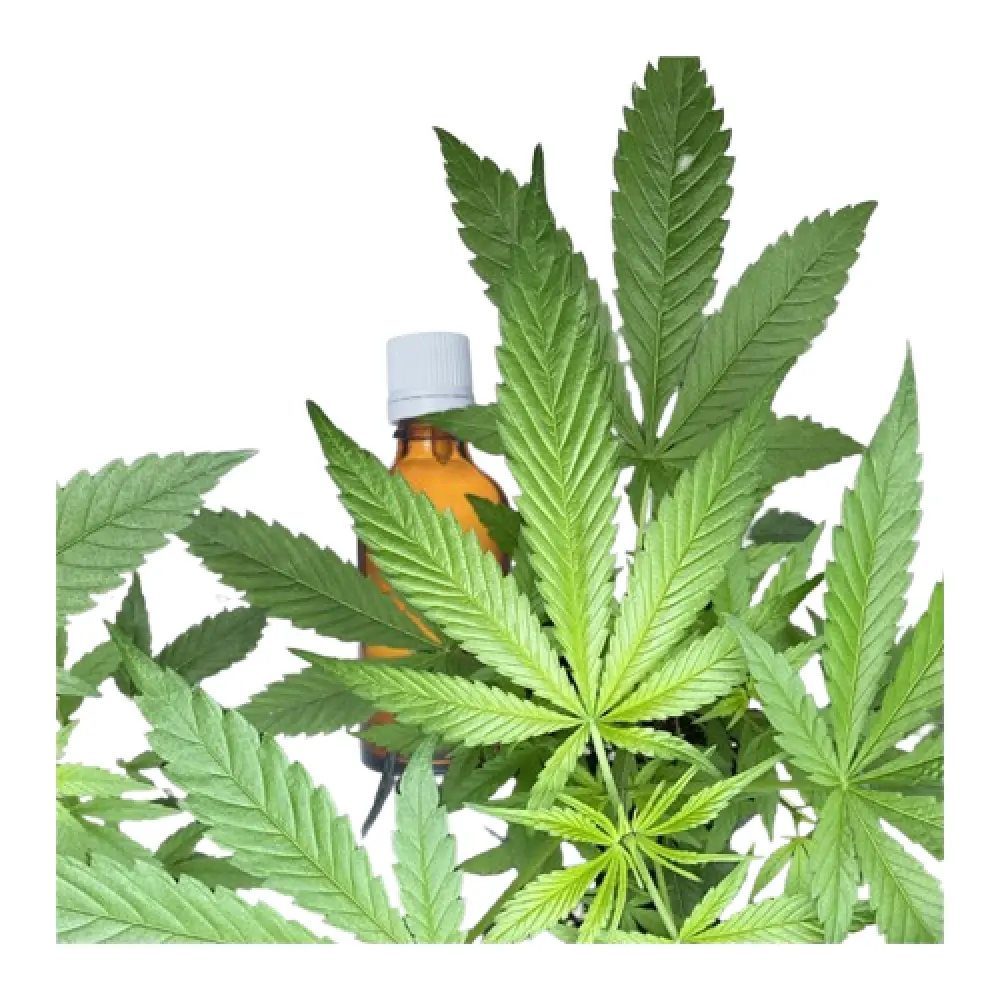 huile-de-chanvre-vierge-removebg-preview