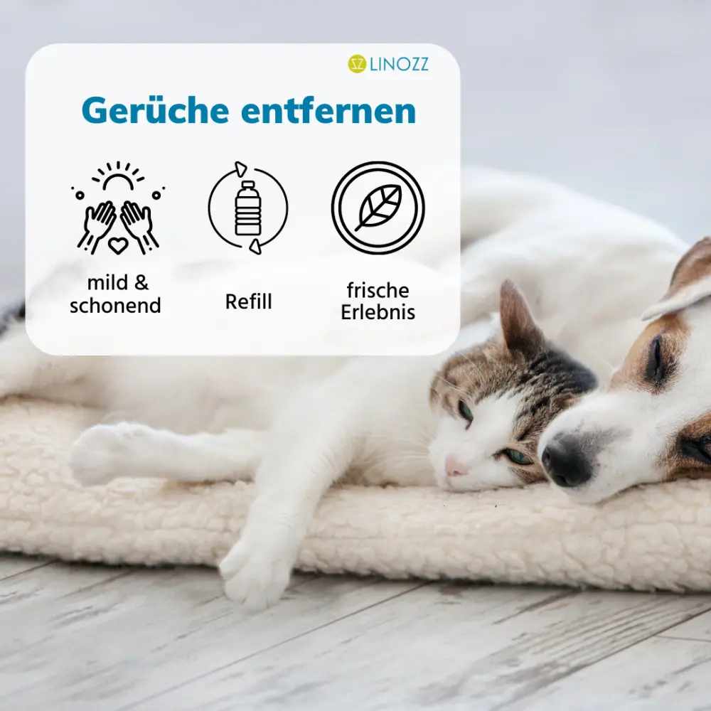 4geruchsentfernerhund_6aabb0ab-12c1-4d3b-b2e1-3e8686ef5714_1800x1800