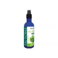 maloe-ef-ravintsara-200ml-fr-1base