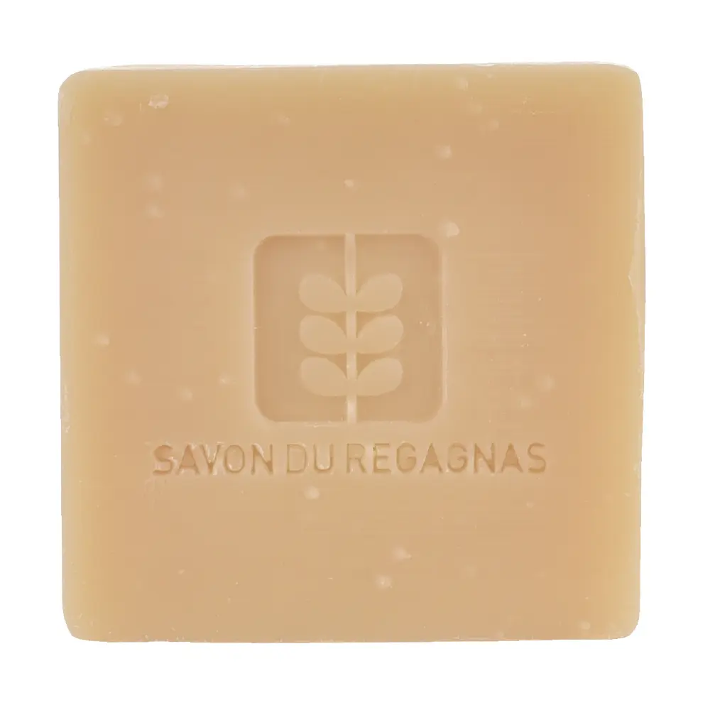 DSC_1188-3760209870053