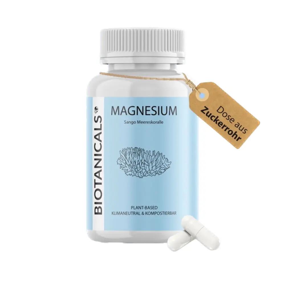 download - 2023-10-19T114545 Background Removed.804