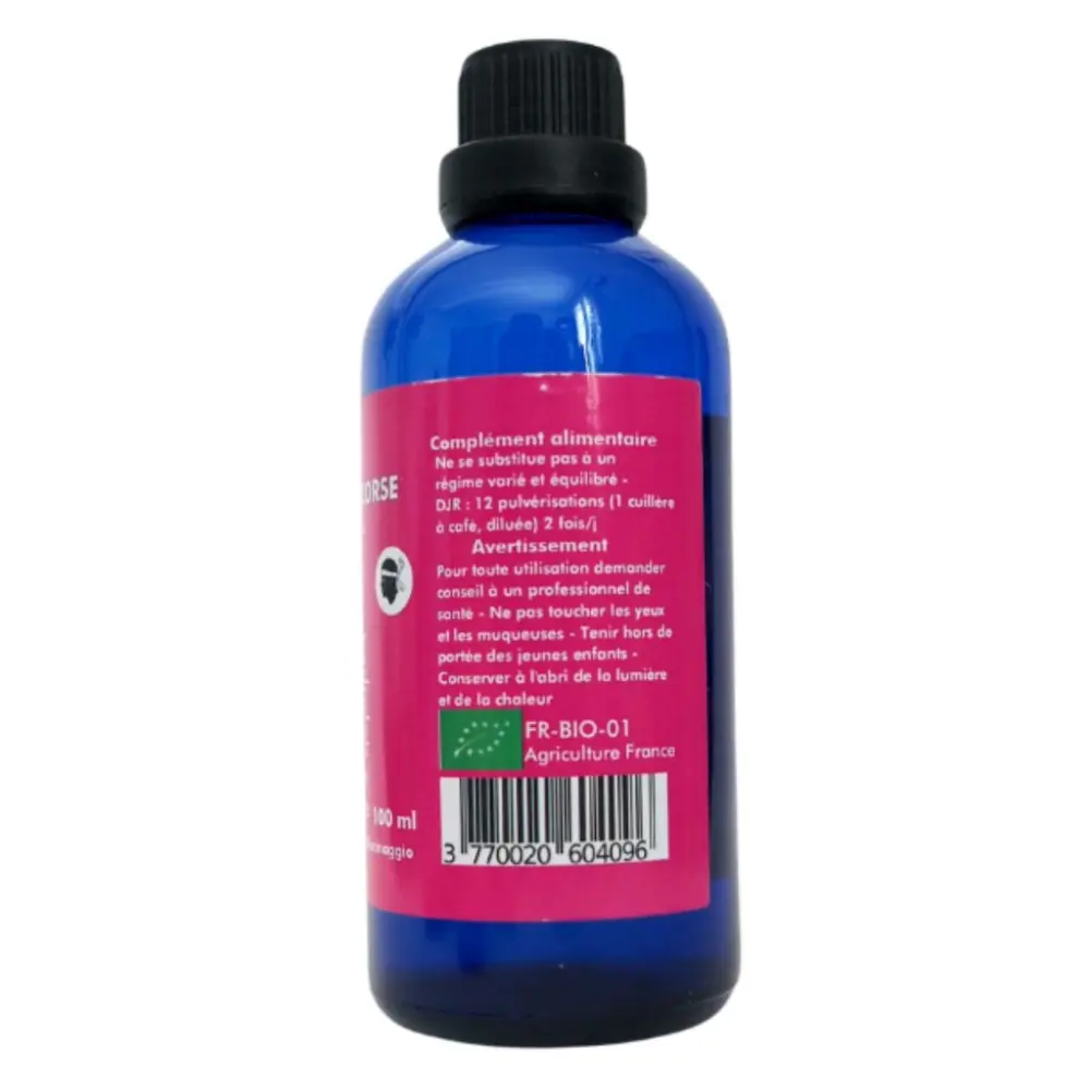 White BG 1500x1500 - 2025-03-20T180012.899