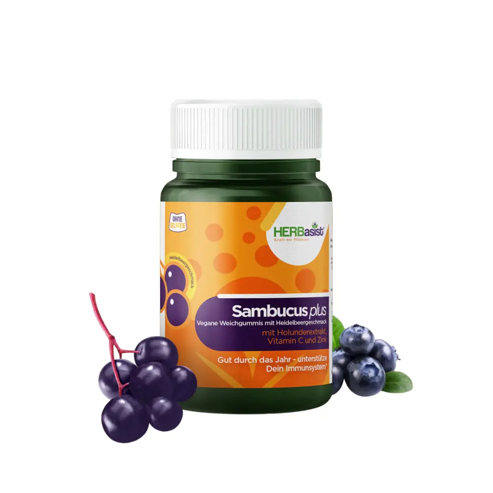 Sambucus_1200x-PhotoRoom.png-PhotoRoom