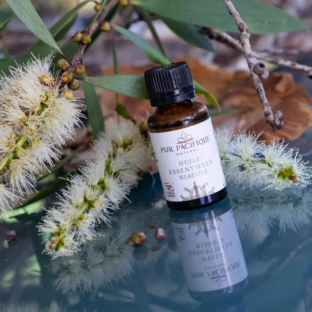 huile_essentielle_de_niaouli_bio_organic_pur_pacifique_cosmetique
