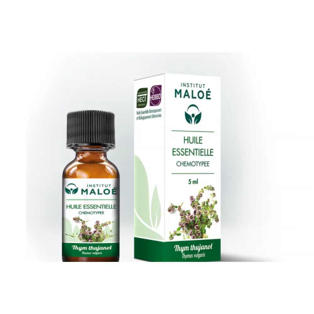 maloe-he-thym-thujanol-5ml-fr-2-1base