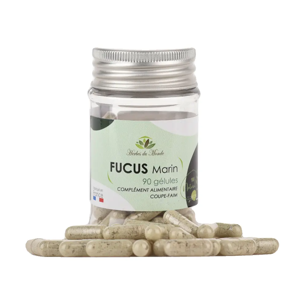 DSC_1527-3760325060079