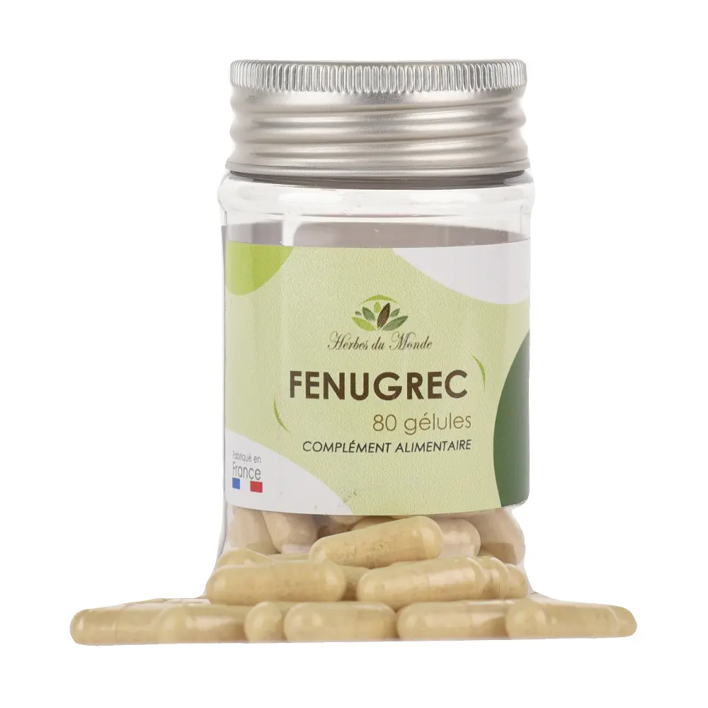 DSC_1508-3760325061311