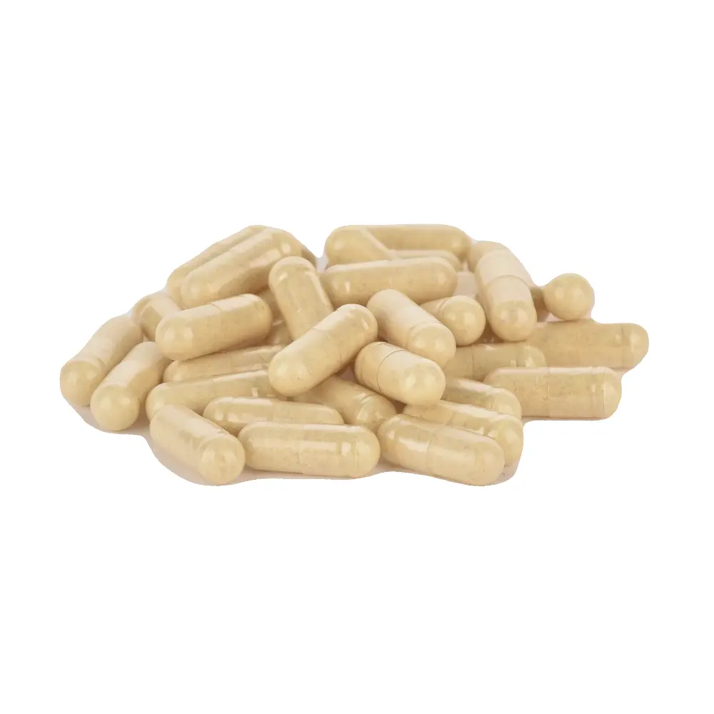 DSC_1510-3760325061311