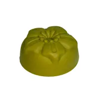 Shampoing-100g-naturel-solide