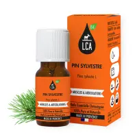 Ätherisches Öl Waldkiefer bio