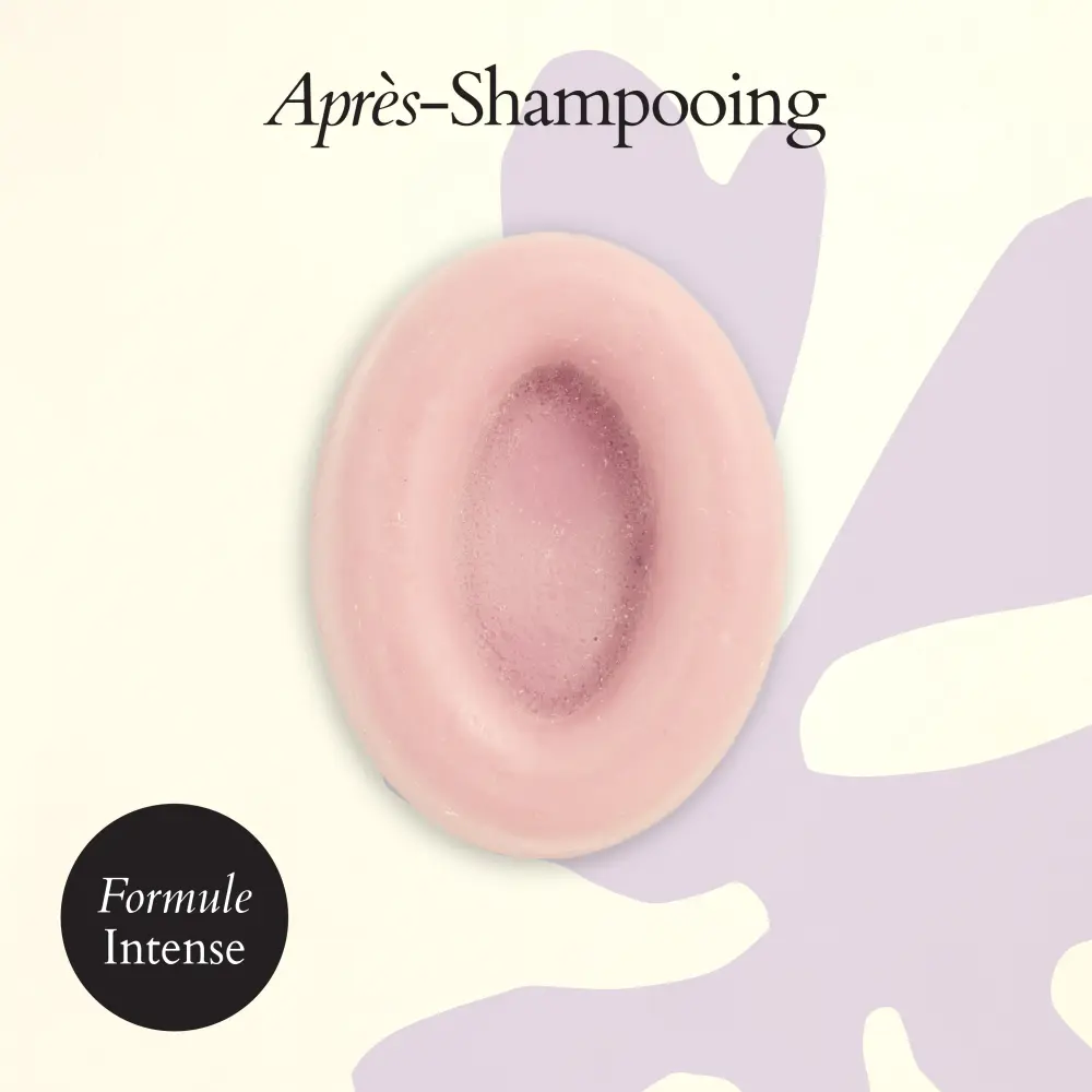 Apres-Shampooing-MELANIE