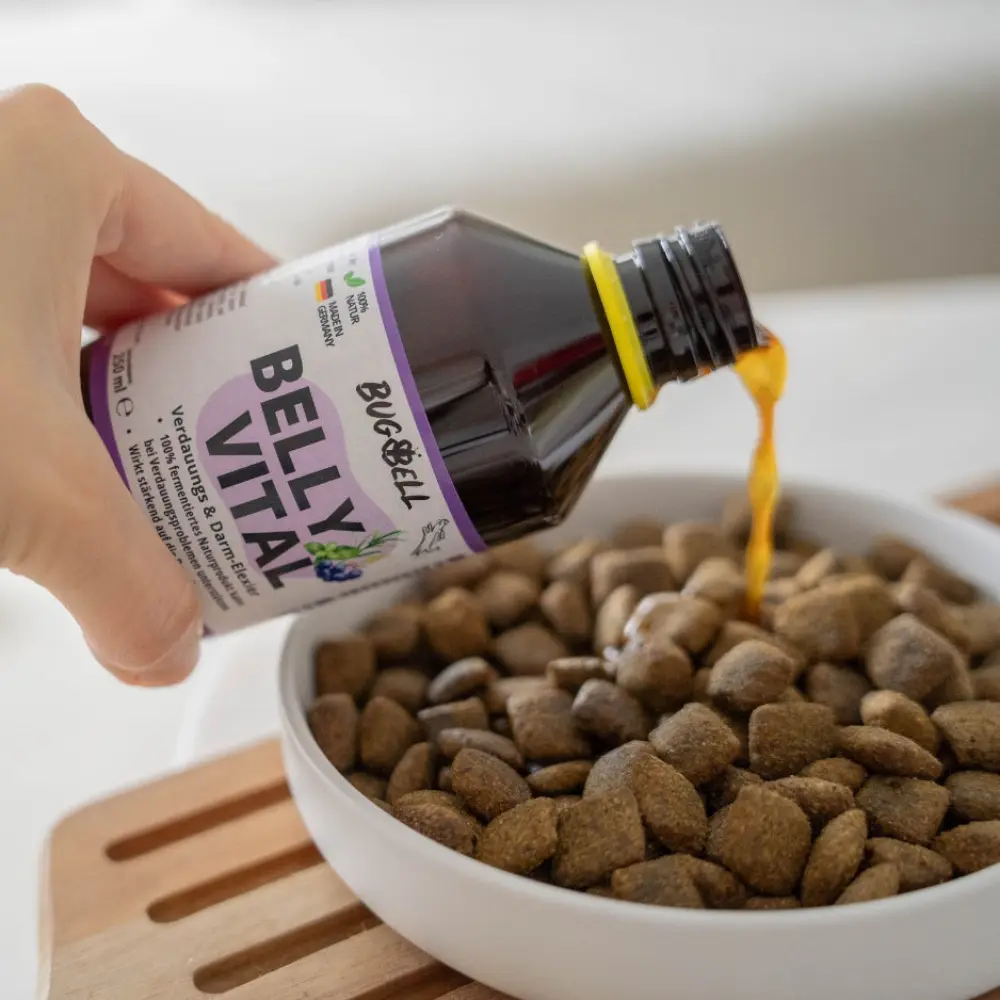 Dosierung_Darm_Elixier_938x