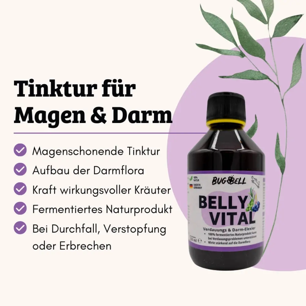 Magen_Darm_Elixier_3000x