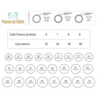 Baguier-fiche-e1666874223113-768x646-1