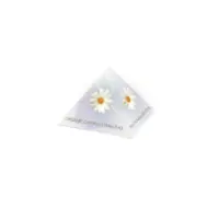 infusion-camomille-bio-50-sachets