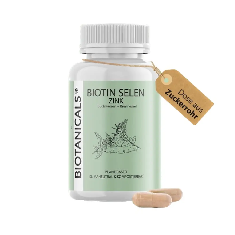 download - 2023-10-19T143144 Background Removed.712