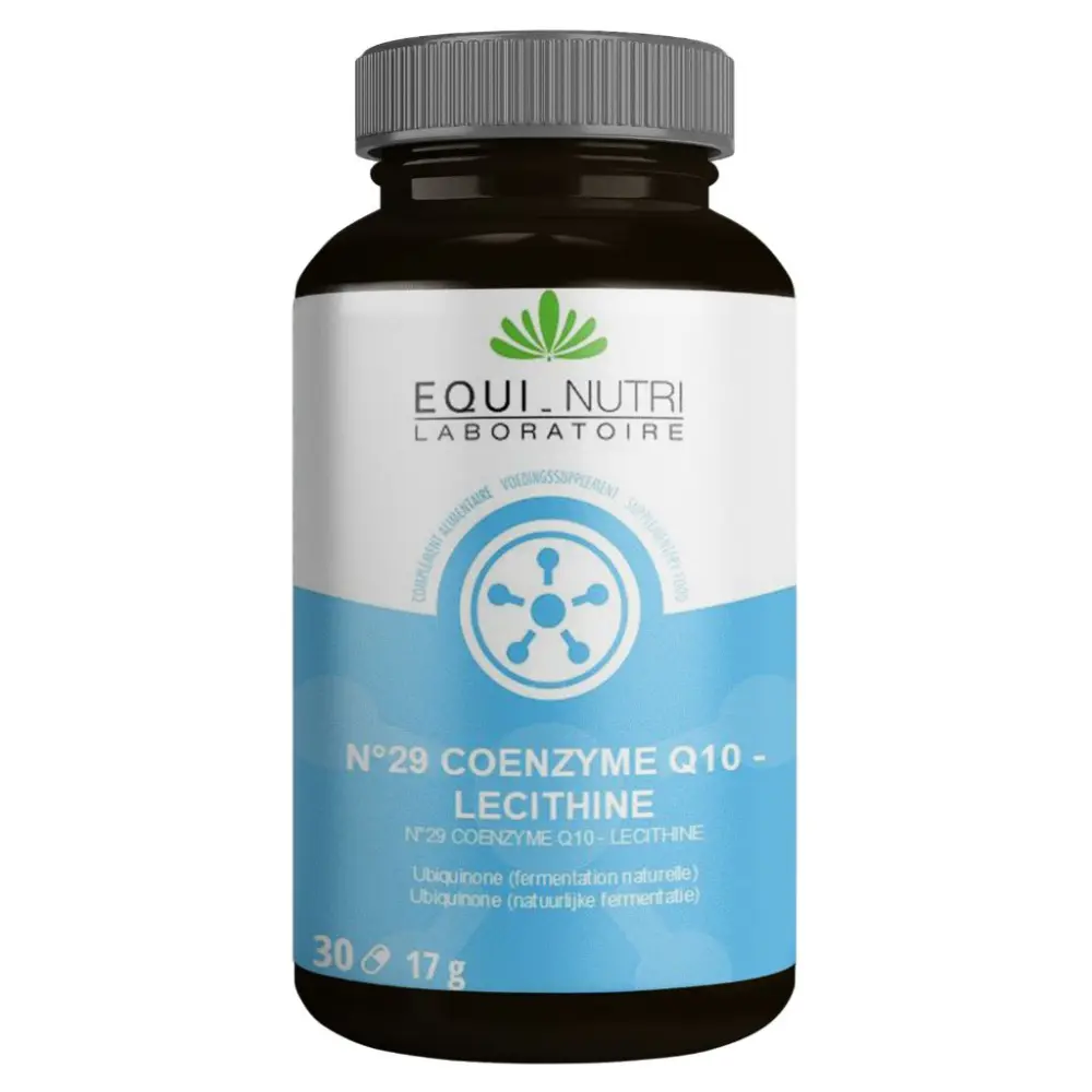 White BG 1500x1500 - 2025-04-02T112501.462