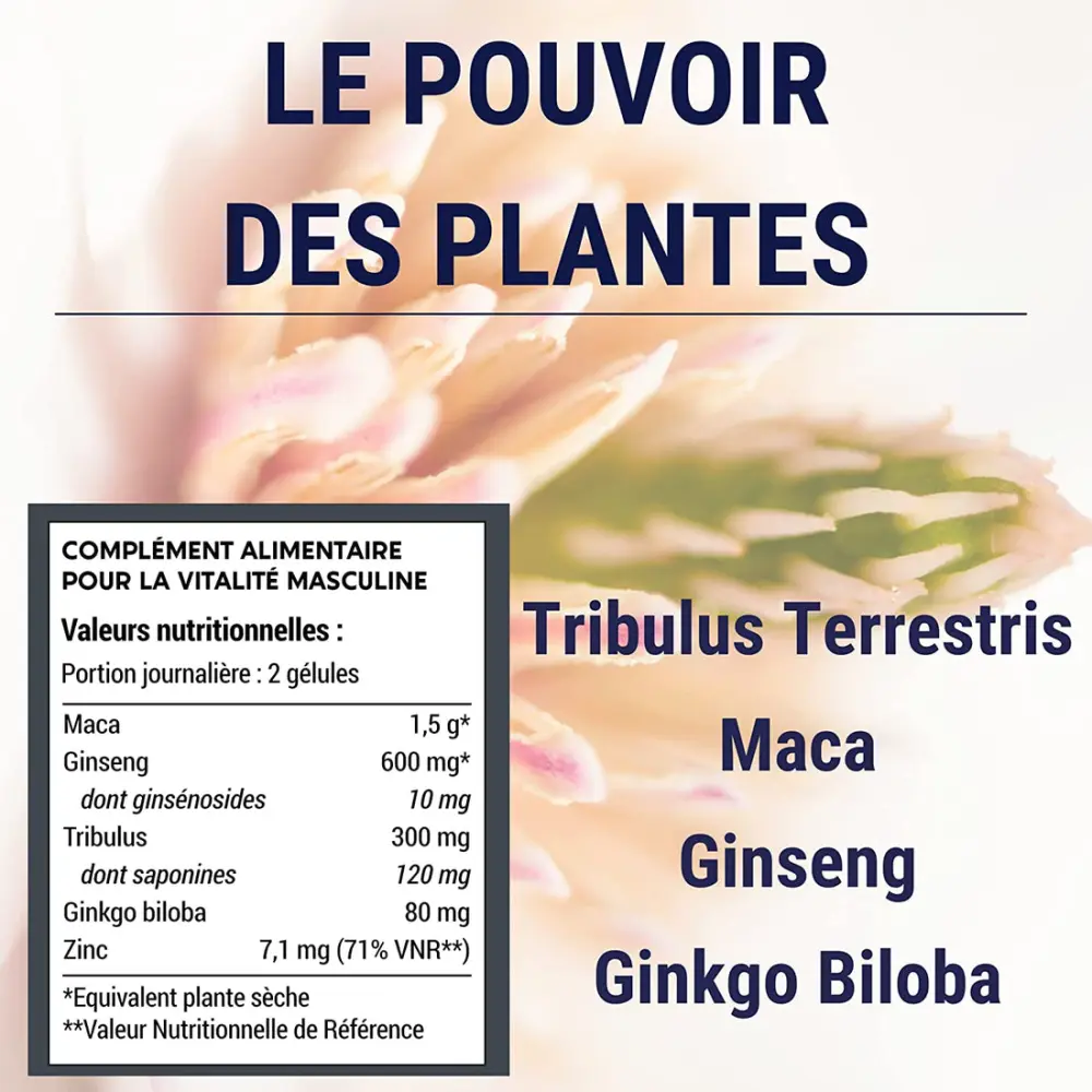 81azfiFlmUL._AC_SL1500